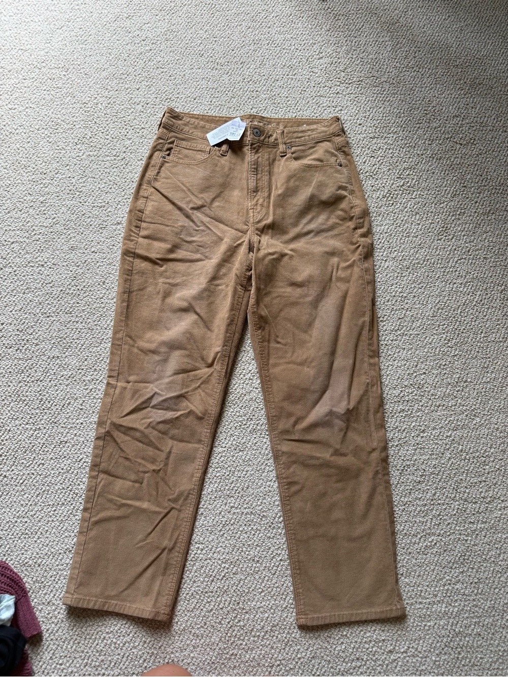 American Eagle Outfitters Men’s Corduroy Pants in Tan Brown